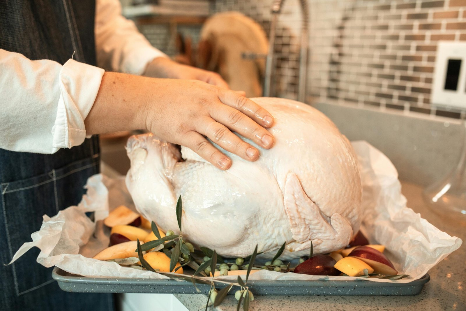 Preparation of a raw turkey on a baking tray surrounded by fresh apples ready for cooking.